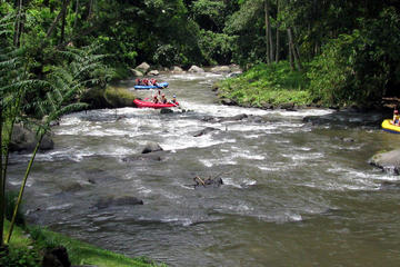 Half Day Ayung River White Water Rafting