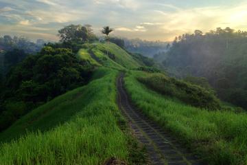 Half Day Bali Eco Walk