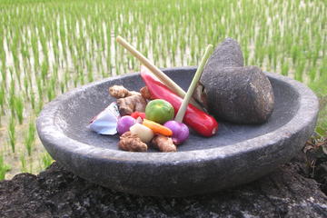 Half-Day Cooking Class at Wapa Di Ume