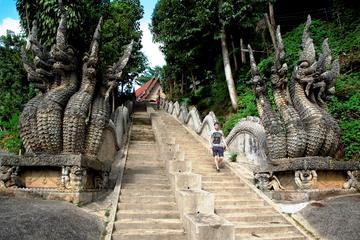 Half Day Golden Triangle and Hill Tribe Villages