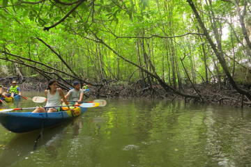 Half-Day Krabi Ao Tha Lane Nature Reserve by Kayak Including Lunch