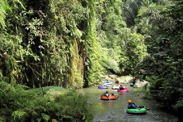 Half-Day River Tubing on the Penet River