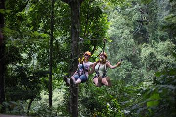 Jungle Ziplining Adventure from Chiang Mai