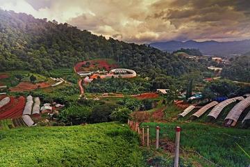 Private Half-Day Hmong Nong Hoi Village and Botanic Garden in Chiang Mai