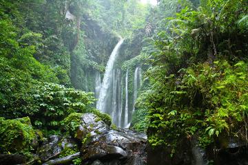 Private Tour: Full-day Majestic Senaru Tour