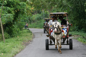 Private Tour: Full-day Sasak Tour and Horse Cart Riding