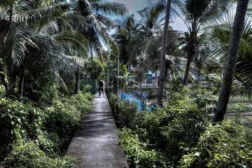 Private tour of the Green Heart of Bangkok