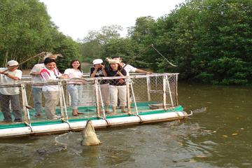 Can Gio Forest Day Trip by Speedboat