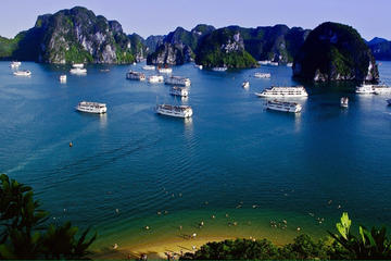 Halong Bay Day Cruise to Sung Sot Cave and Ti Top Island from Hanoi