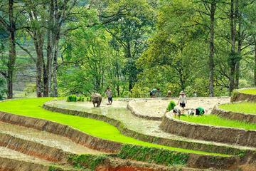 5-day Northern Vietnam: Hanoi - Ninh Binh - Sapa - Halong Bay cruise