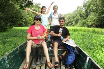 3-Day Wildlife Observation Tour at Tamshiyacu Reserve with Curassow Amazon Lodge