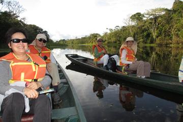 4-Day Wildlife Tour at Tamshiyacu Reserve with Curassow Amazon Lodge