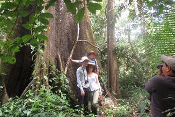 5-Day Wildlife Tour at Tamshiyacu Reserve with Curassow Amazon Lodge
