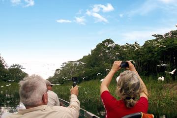 6-Day Rainforest Tour at Tamshiyacu Reserve with Curassow Amazon Lodge