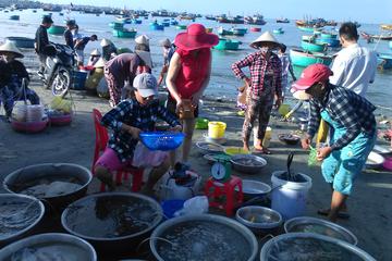 2 Days Tour to Mui Ne from Nha Trang