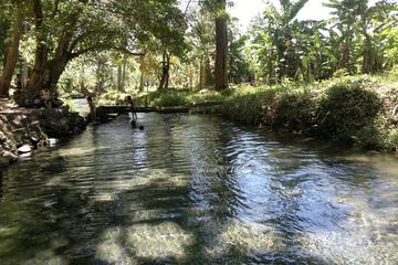 Aguas Agrias - Cool Water Spring and Lagoon Excursion