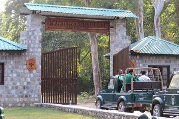 Jungle Safari at Rajaji National Park