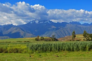 5-Day Unique Cusco Sacred Valley and Machu Picchu
