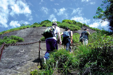 Tijuca Peak Hike in Rio de Janeiro