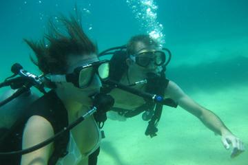 2-Tank Dive in the Cabo San Lucas Marine Preserve