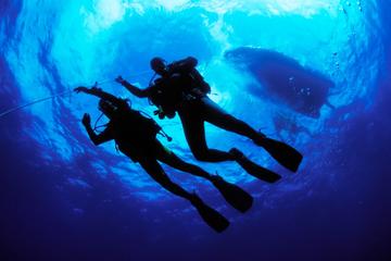 PADI Open Water Diver Certification in Cabo San Lucas