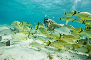 Santa Maria and Chileno Bay Snorkel Adventure