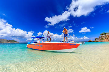 Eco-Snorkeling and Beach Excursion with Lunch