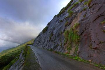 Munnar to Thekkady Private Transfer