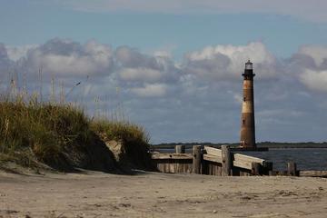 2-Hour Salt Marsh Cruise from Folly Beach