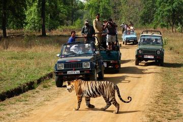 Private 3-Day Ranthambhore Tiger Tour from Agra including Agra and Jaipur