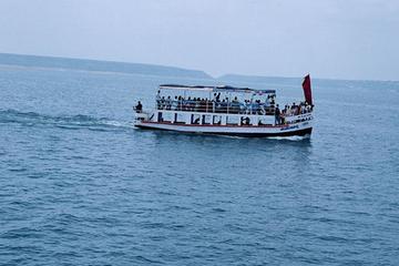 Private Full-Day Excursion to Nagarjunakonda Island Museum from Hyderabad