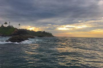 4-Day Sri Lanka Coast Tour