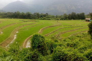 4-Night Meemure and Kandy Hiking and Trekking tour From Colombo