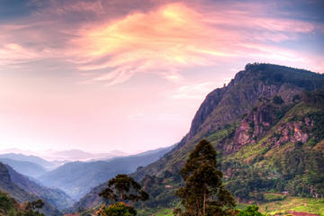 4-Night Sri Lanka Tour from Colombo