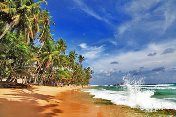 7-Night Private Luxury Sri Lanka Tour