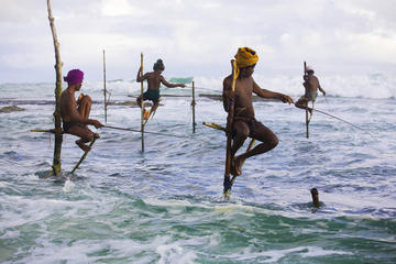 7-Night Private Tour of Sri Lanka