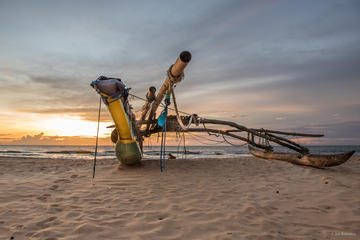 Private 6-Day Sightseeing Tour around Sri Lanka