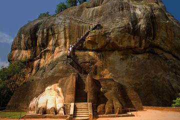Private Colombo to Sigiriya Transfer with Sigiriya Rock Fortress and Dambulla