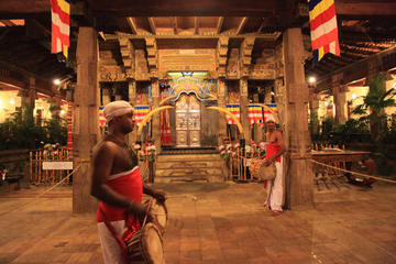 Tour in Sri Lanka for 4 days