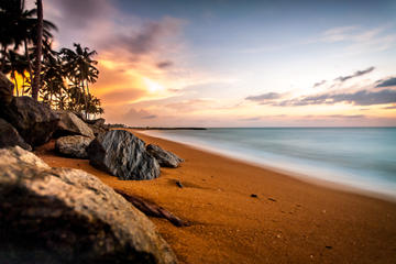 Tour in Sri Lanka for 8 days