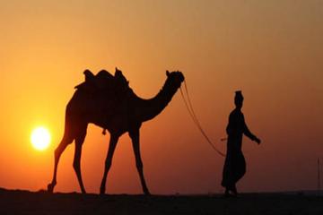 5-Night Private Rajasthan Tour from Delhi Including Jaipur, Jodhpur and Udaipur