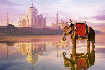 Agra Same Day Tour From Jaipur With Abhaneri Step Well's & Fatehpur Sikri
