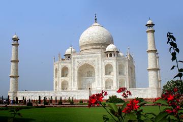 Private 5-Night Delhi, Jaipur, Ranthambore, and Agra Tour with Taj Mahal