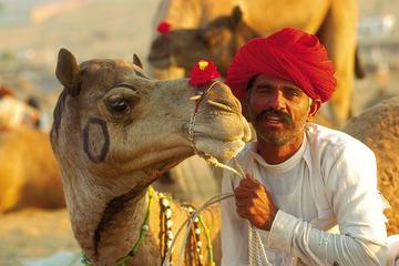 Pushkar Day Trip from Jaipur