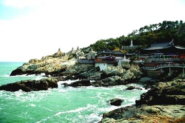 Private Full Day Tour of Busan Eastern Part Highlights