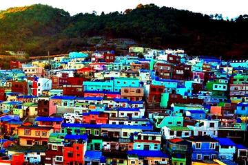 Private Full Day Tour of Busan Southern Part Highlights