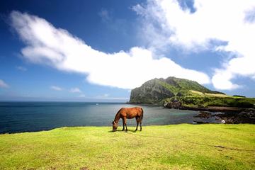 Private Full Day Tour of UNESCO Heritage Sites in East Jeju Island