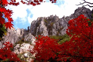 Private Full Day Tour to Mt Seorak and East Sea