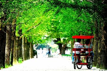 Private Full Day Tour to Nami Island and Free style Seoul city tours