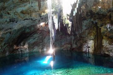 Private Tour: Homun Cenotes Day Trip